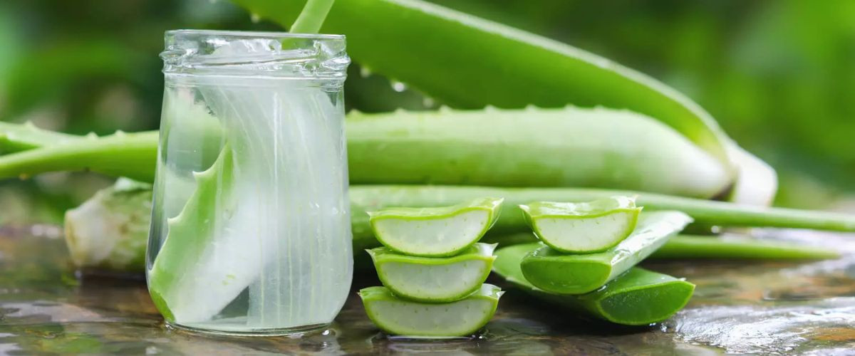 Les Lubrifiants Naturels : Alternatives Saines pour le Plaisir